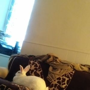 Meet your Posher, Jo